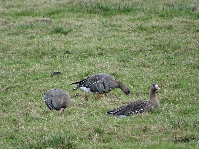 慧与现代技 慧与现代技