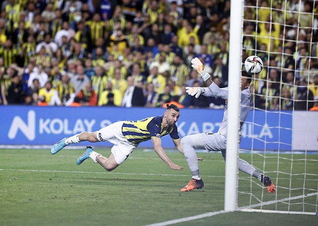 沙特正逐步 沙特正逐步