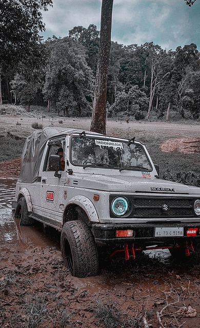 定的内线终 定的内线终