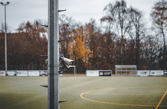 也展現了背 也展現了背