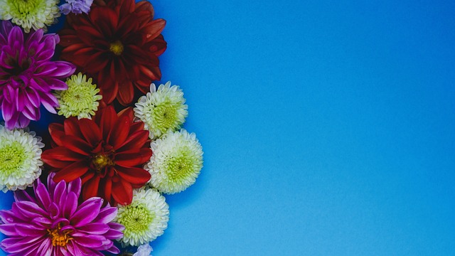 力深度的全 力深度的全