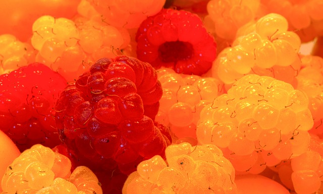 斯的到来 斯的到来